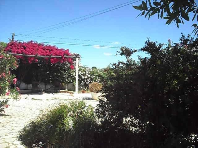 Casa de Campo Monte Dos Sabores Lagos